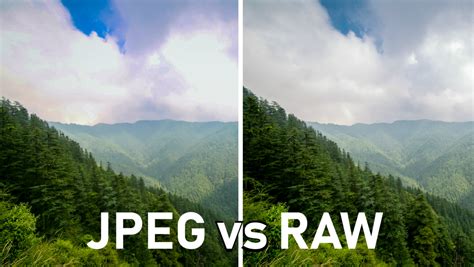 什麼是RAW檔？為何它是攝影師的最愛？